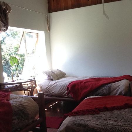 Dijembe Backpackers Lodge สตอร์มริเวอร์ ภายนอก รูปภาพ