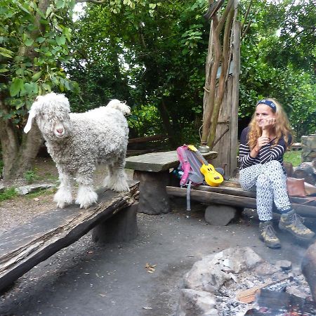Dijembe Backpackers Lodge สตอร์มริเวอร์ ภายนอก รูปภาพ