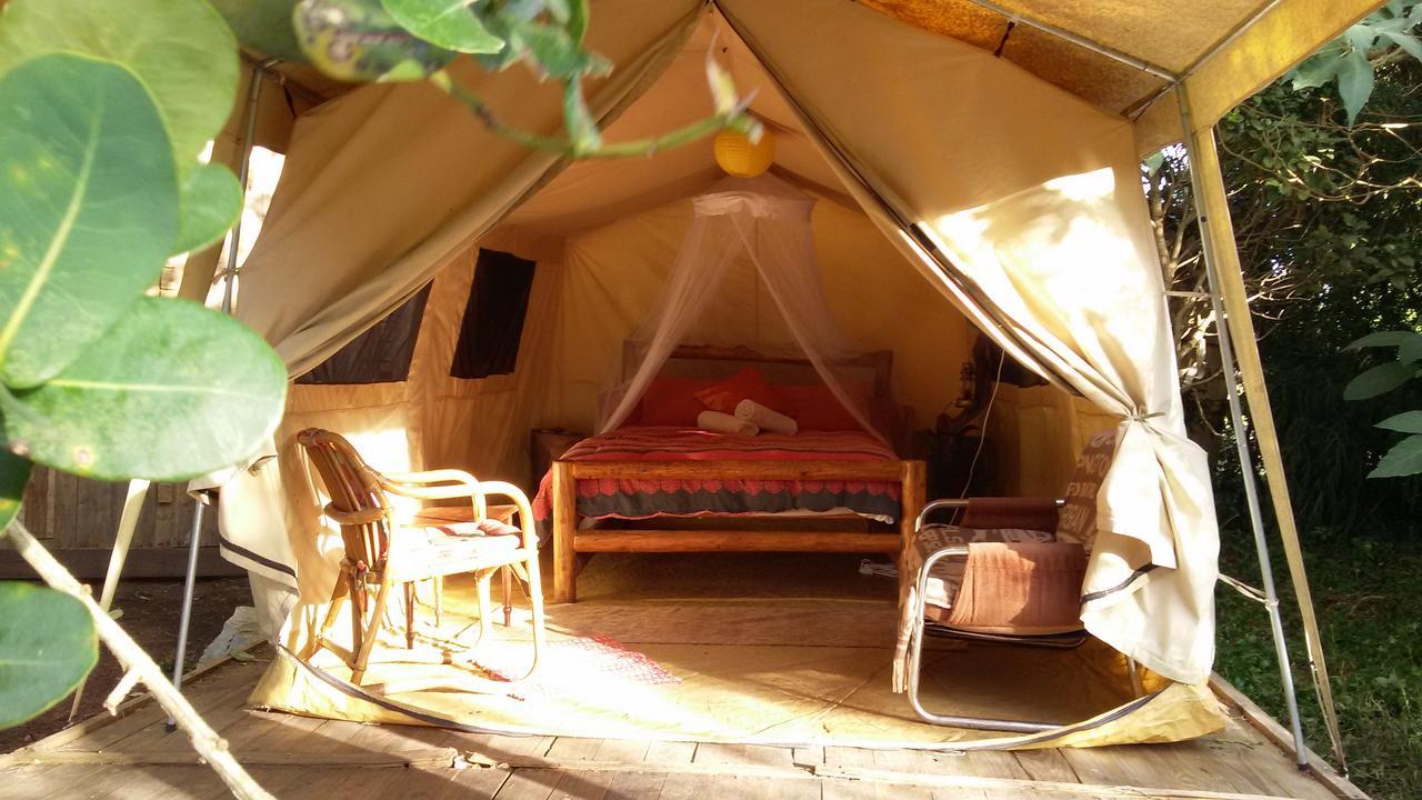 Dijembe Backpackers Lodge สตอร์มริเวอร์ ภายนอก รูปภาพ