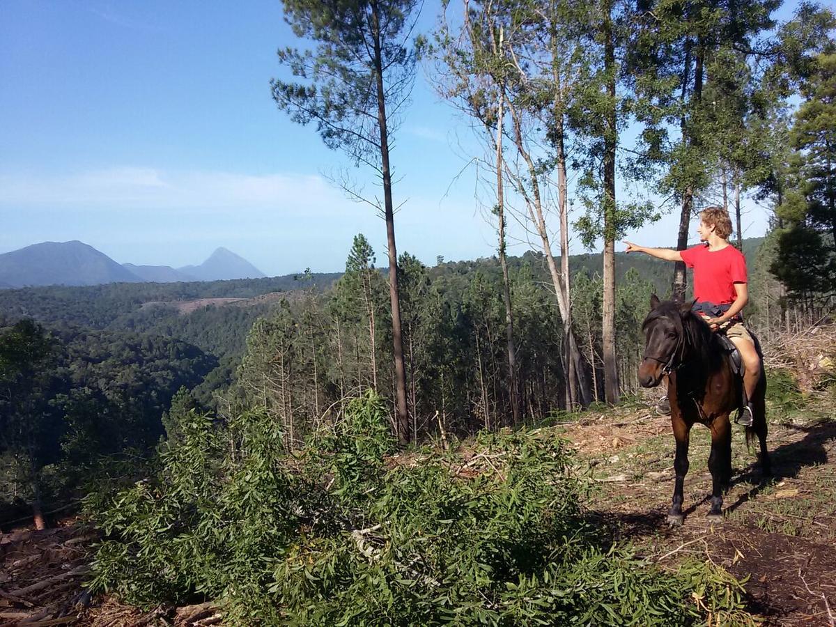 Dijembe Backpackers Lodge สตอร์มริเวอร์ ภายนอก รูปภาพ