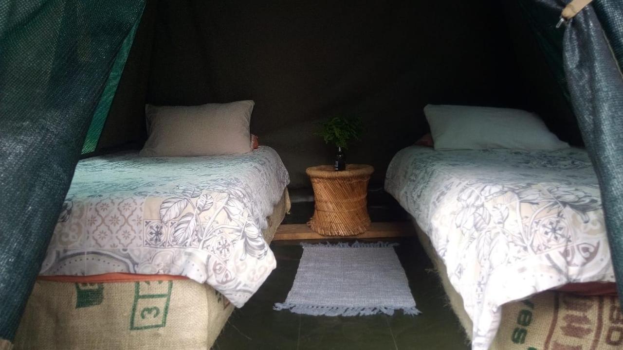 Dijembe Backpackers Lodge สตอร์มริเวอร์ ภายนอก รูปภาพ